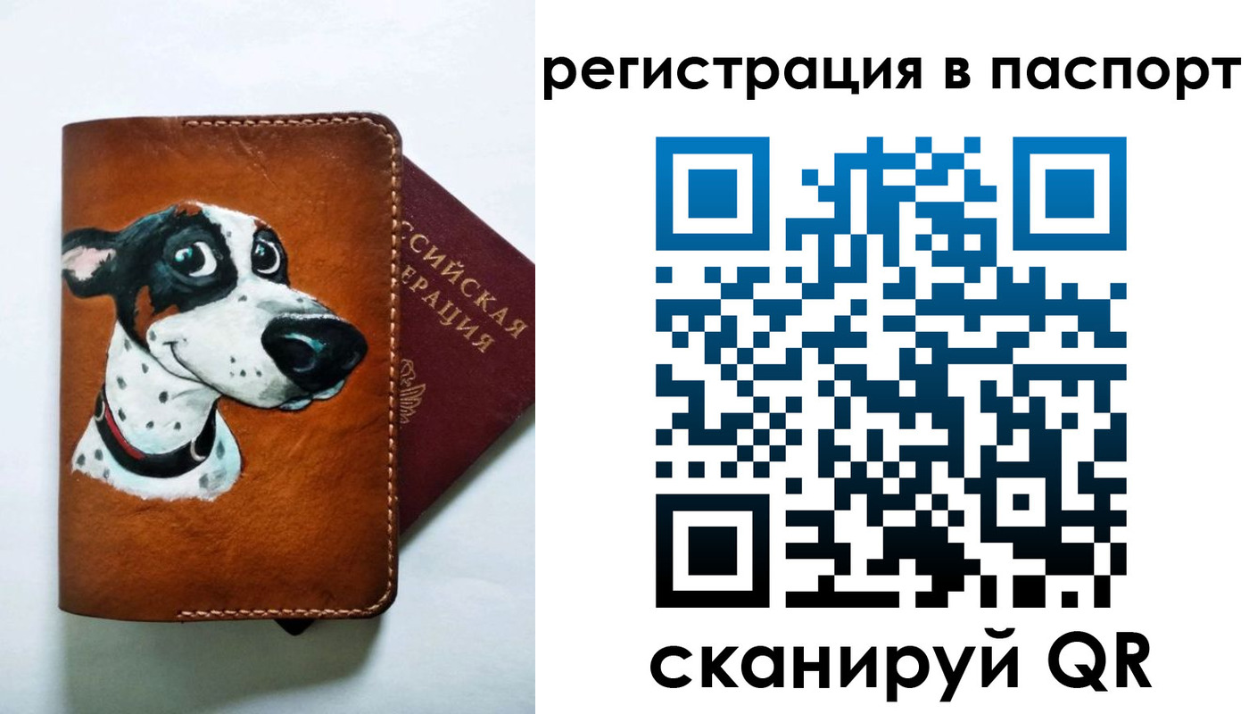 прописка штамп в Оленегорске